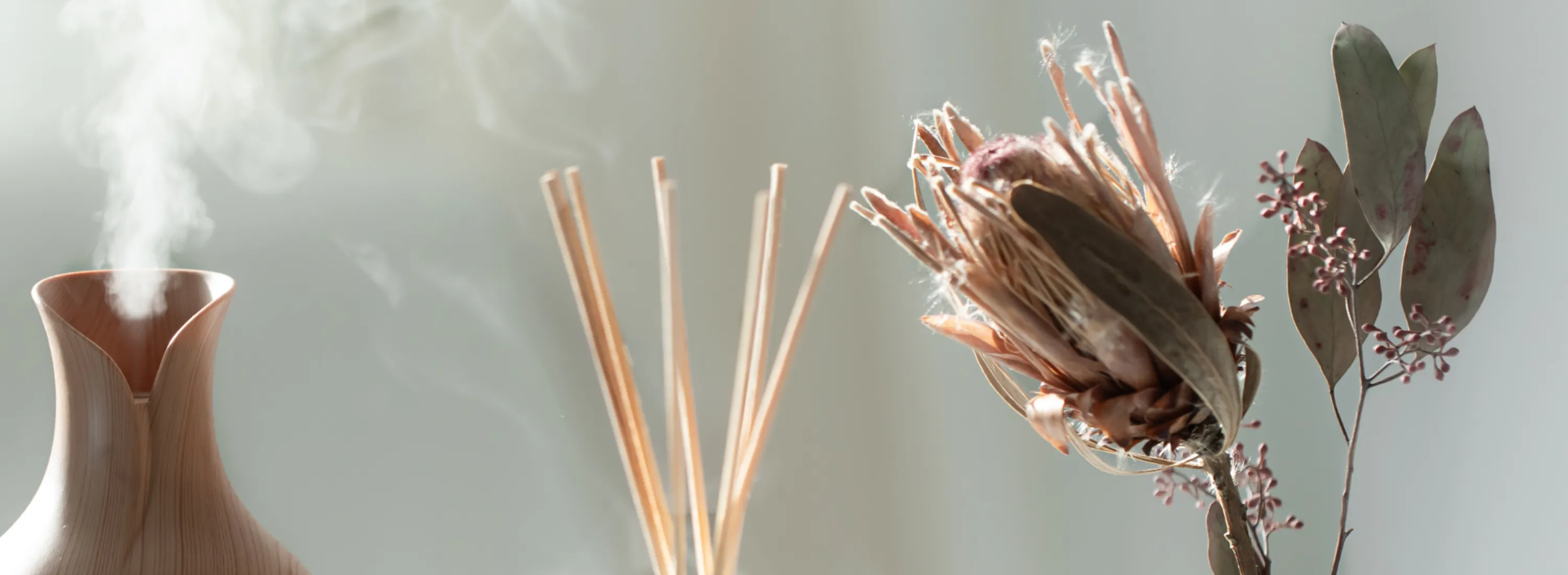 Aroma360: Fragrance Solutions for Every Mood