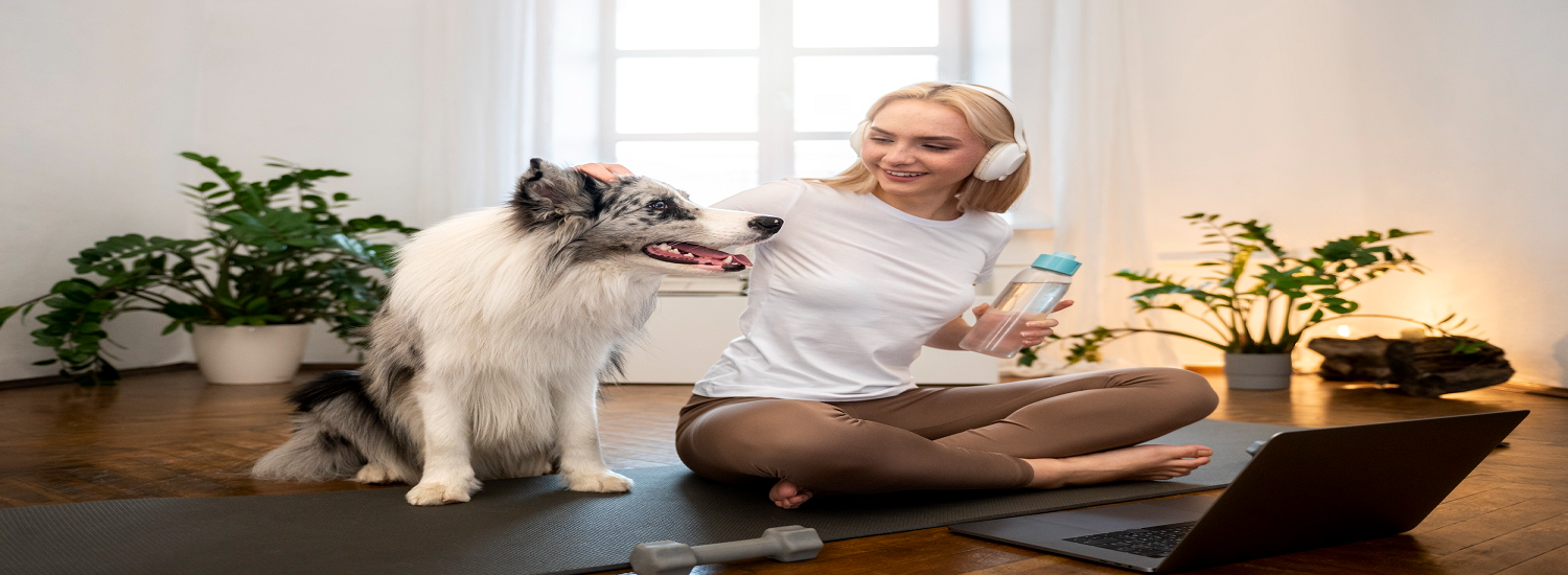 Elevate Your Dog’s Health with Meet Maev