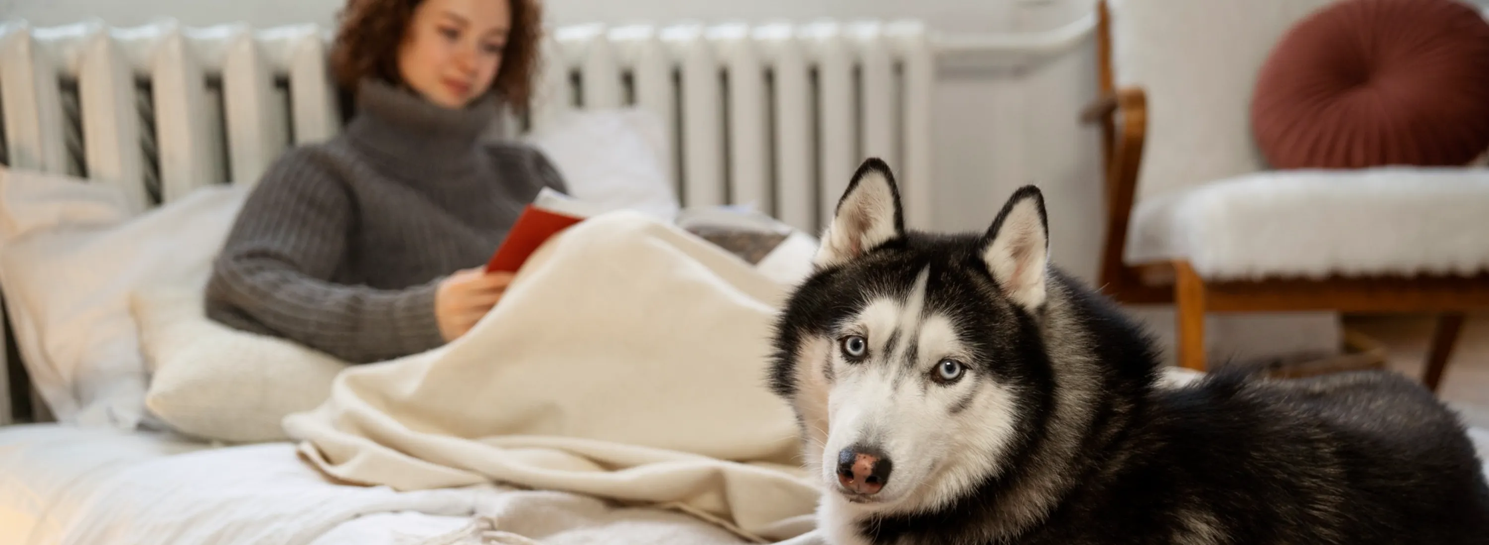 Comfort Redefined with the Human Dog Bed from Plufl