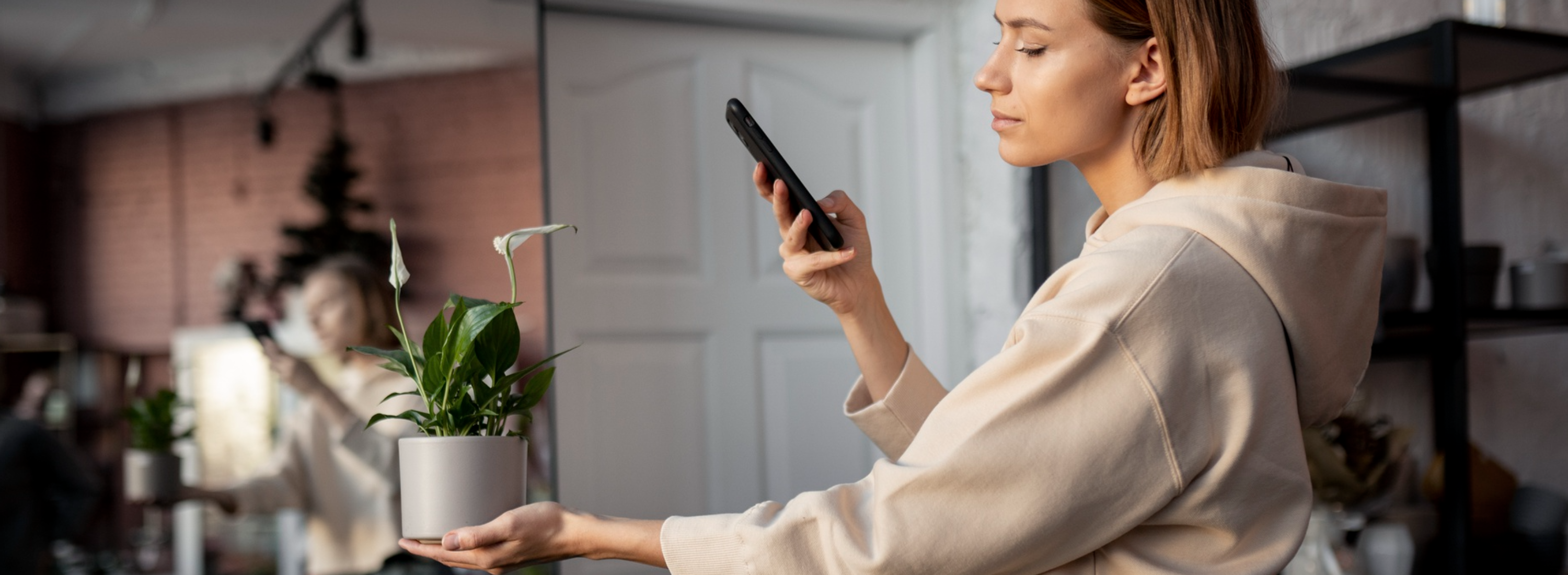 Smart Home Growing Made Simple with Heyabby