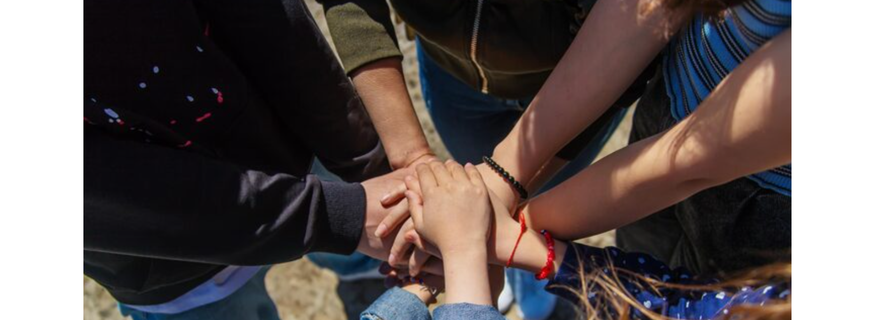 Join Strength, Support and Sobriety with The Phoenix Community