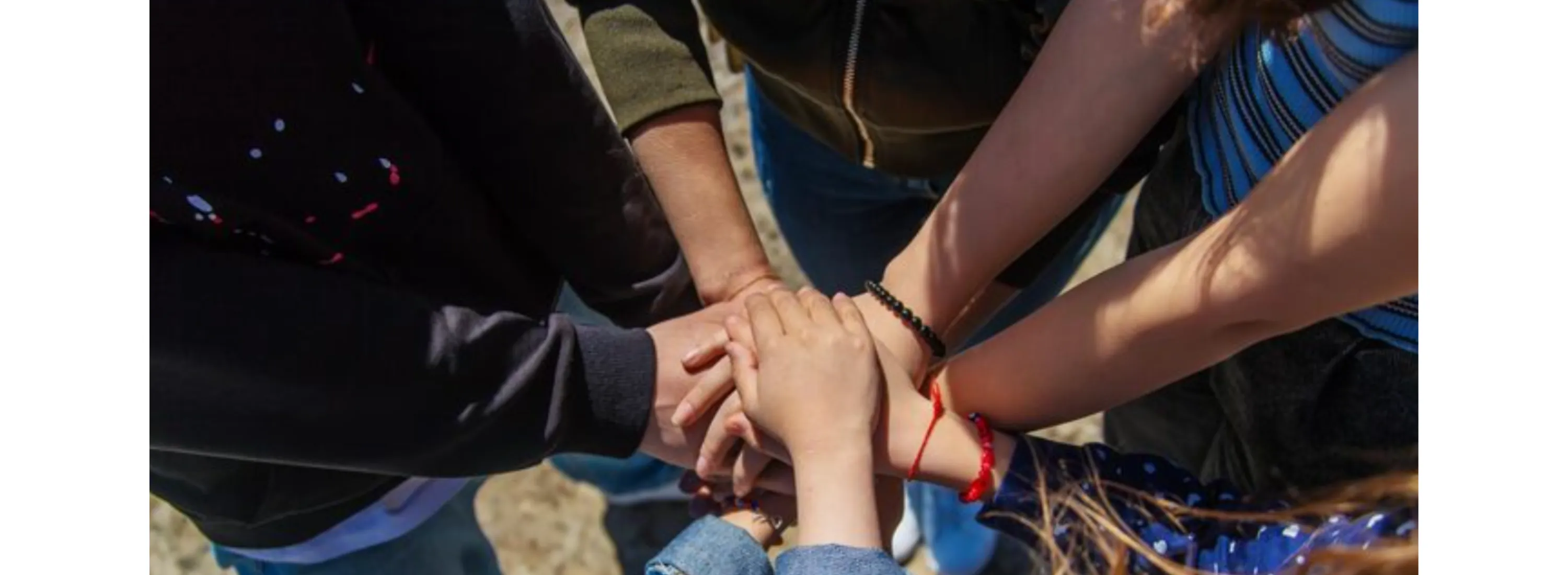 Join Strength, Support and Sobriety with The Phoenix Community