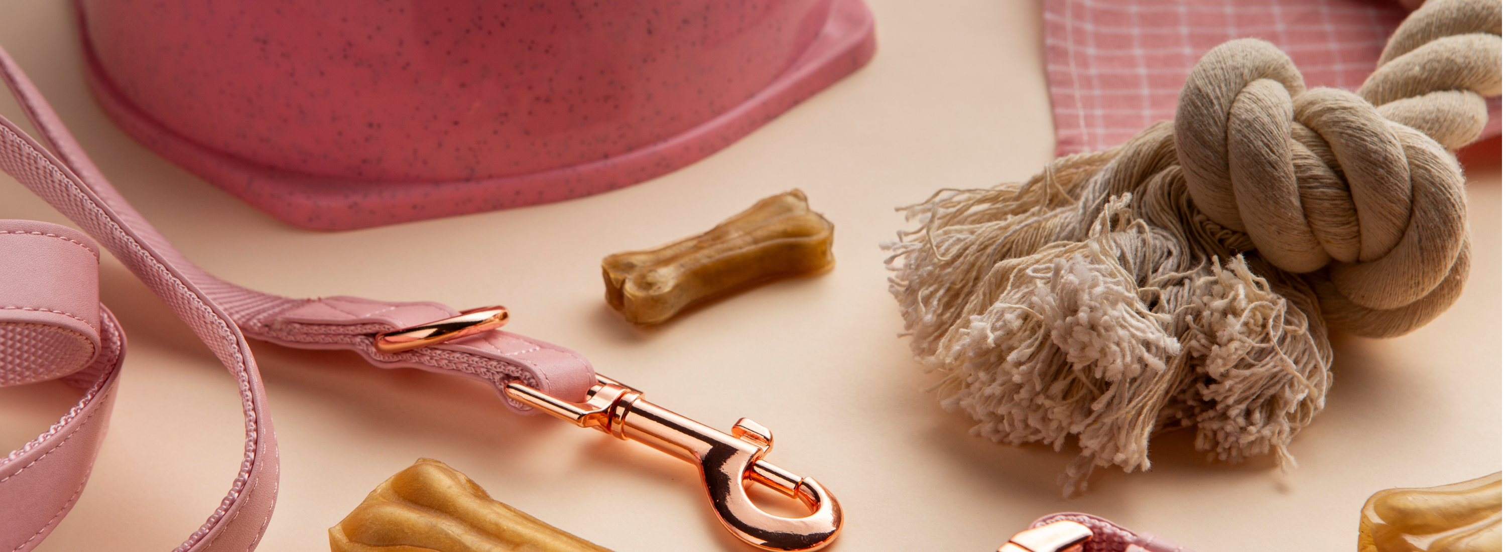 Stylish Essentials for Dog Lovers