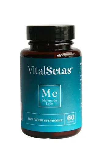 Lion's Mane Capsules VitalSetas